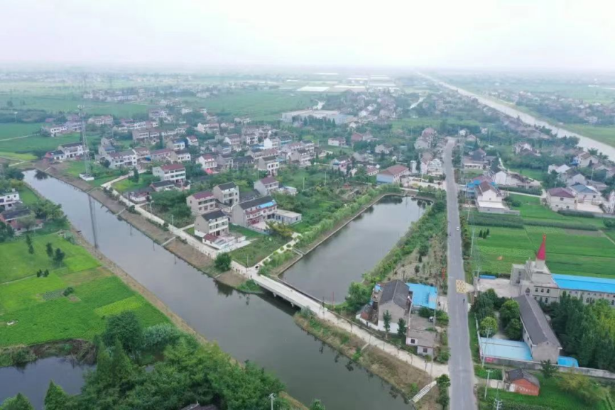 泰州泰興建設生態木樁護岸打造水清岸綠生態美景